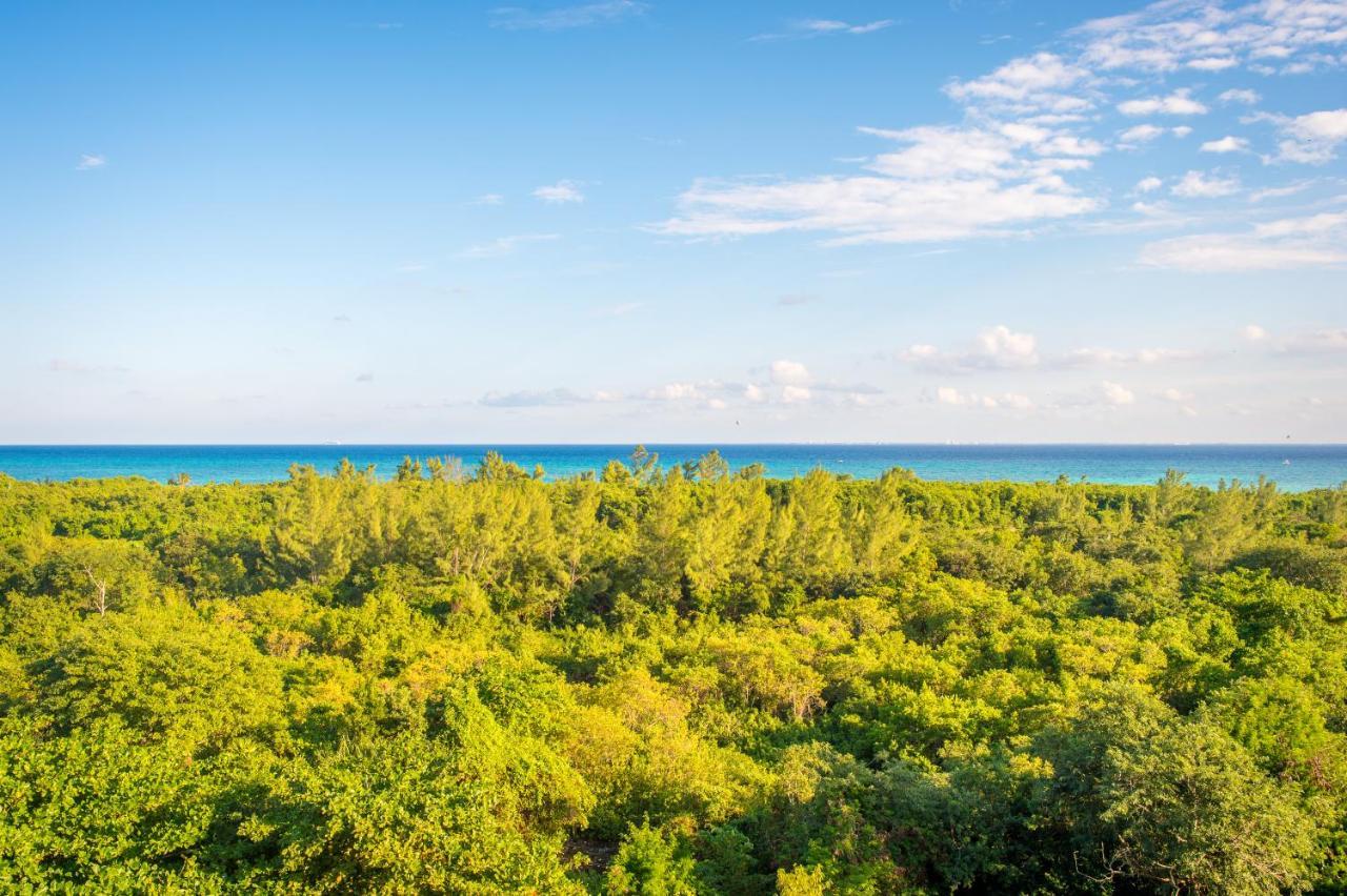 Suites Cielo Y Mar (Adults Only) Πλάγια Ντελ Κάρμεν Εξωτερικό φωτογραφία