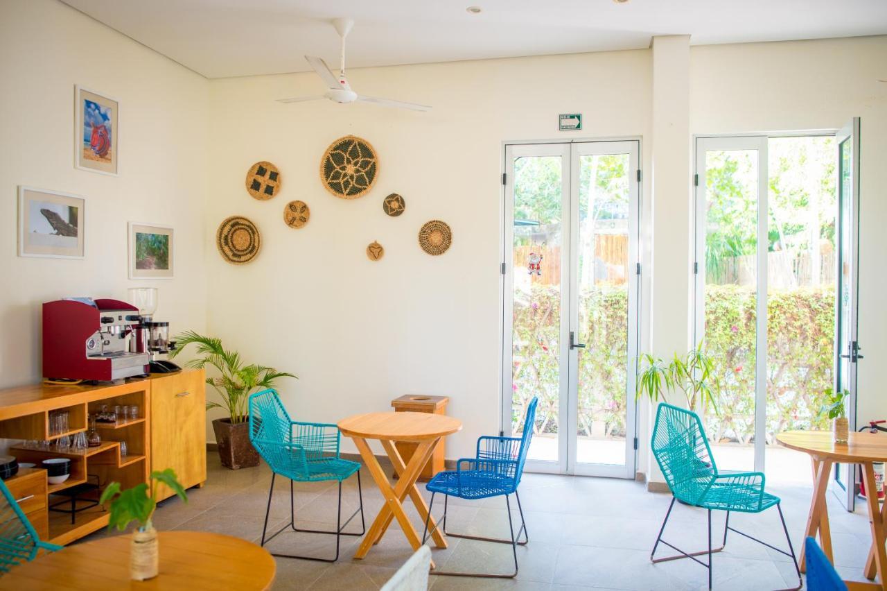 Suites Cielo Y Mar (Adults Only) Πλάγια Ντελ Κάρμεν Εξωτερικό φωτογραφία